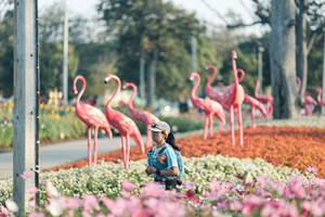 BIB: 
                            <button type="button" onclick="openModal(27344188)" class="btn btn-primary btn-sm float-right btn-popup" data-toggle="modal" data-target=".modal-high-quality">
                        <i class="fas fa-shopping-cart"></i> Add to Cart
                    </button>
                                            <button type="button" onclick="isThisMe(27344188, true)" class="btn btn-success btn-sm float-right btn-popup btn-isme hidden" data-toggle="tooltip" data-placement="bottom" title="นี่คือรูปของคุณใช่ไหม คลิกที่นี่เพื่อเอาเข้าอัลบั้ม">
                        <i class="fas fa-plus"></i> Add to album
                    </button>
                    <button type="button" onclick="isThisMe(27344188, false)" class="btn btn-warning btn-sm float-right btn-popup btn-isnotme hidden">
                        <i class="fas fa-ban"></i> Remove from album
                    </button>